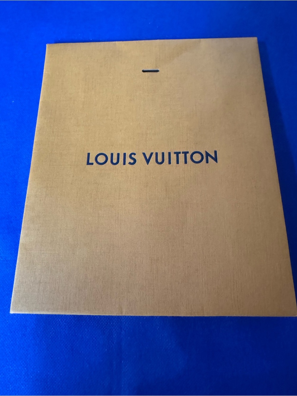 Louis Vuitton 💯% Authentic iconic paper envelope bag — Like New. Ideal for gifts